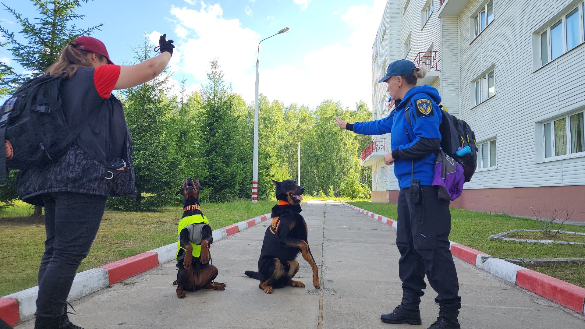 поисковые учения, Национальный центр помощи потерявшимся и пострадавшим детям, волонтеры-поисковики, Ногинск, Богородский городской округ,