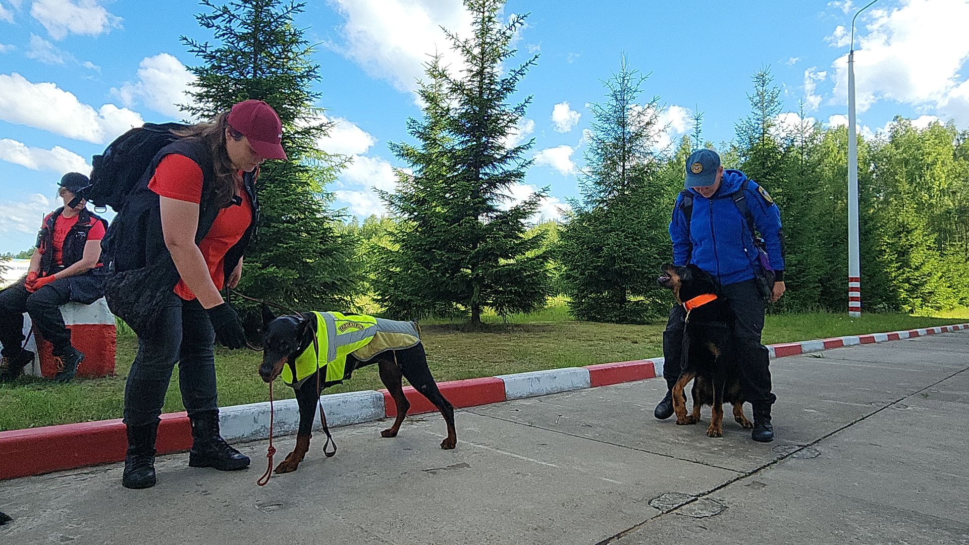 поисковые учения, Национальный центр помощи потерявшимся и пострадавшим детям, волонтеры-поисковики, Ногинск, Богородский городской округ,