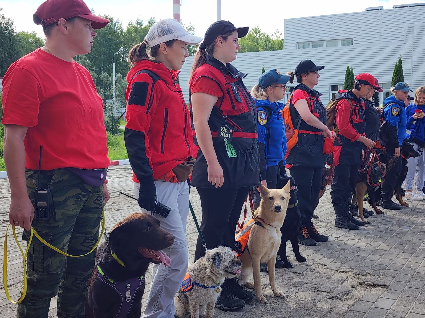 поисковые учения, Национальный центр помощи потерявшимся и пострадавшим детям, волонтеры-поисковики, Ногинск, Богородский городской округ,