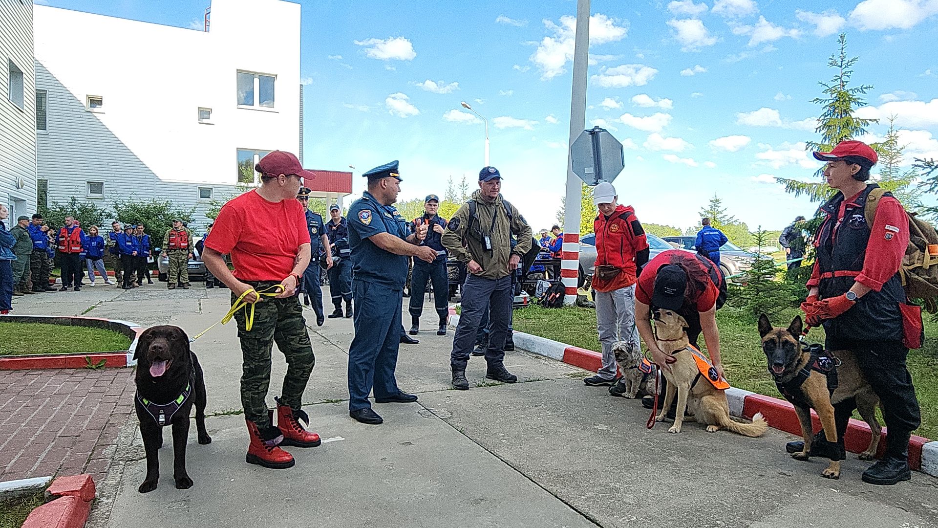 поисковые учения, Национальный центр помощи потерявшимся и пострадавшим детям, волонтеры-поисковики, Ногинск, Богородский городской округ,