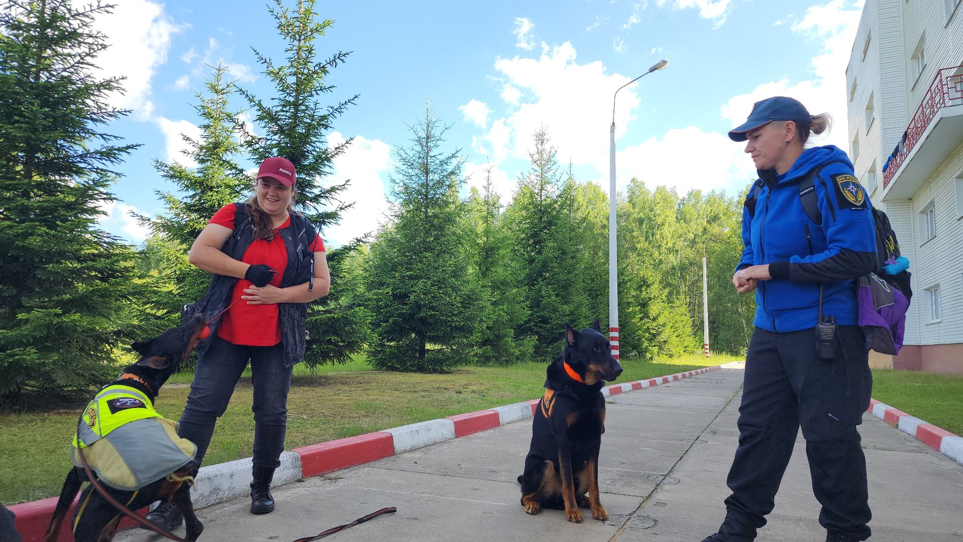 поисковые учения, Национальный центр помощи потерявшимся и пострадавшим детям, волонтеры-поисковики, Ногинск, Богородский городской округ,