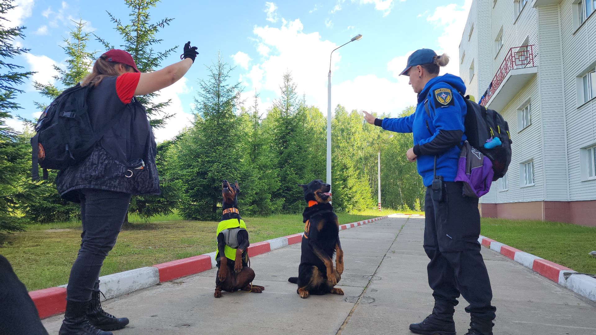 поисковые учения, Национальный центр помощи потерявшимся и пострадавшим детям, волонтеры-поисковики, Ногинск, Богородский городской округ,