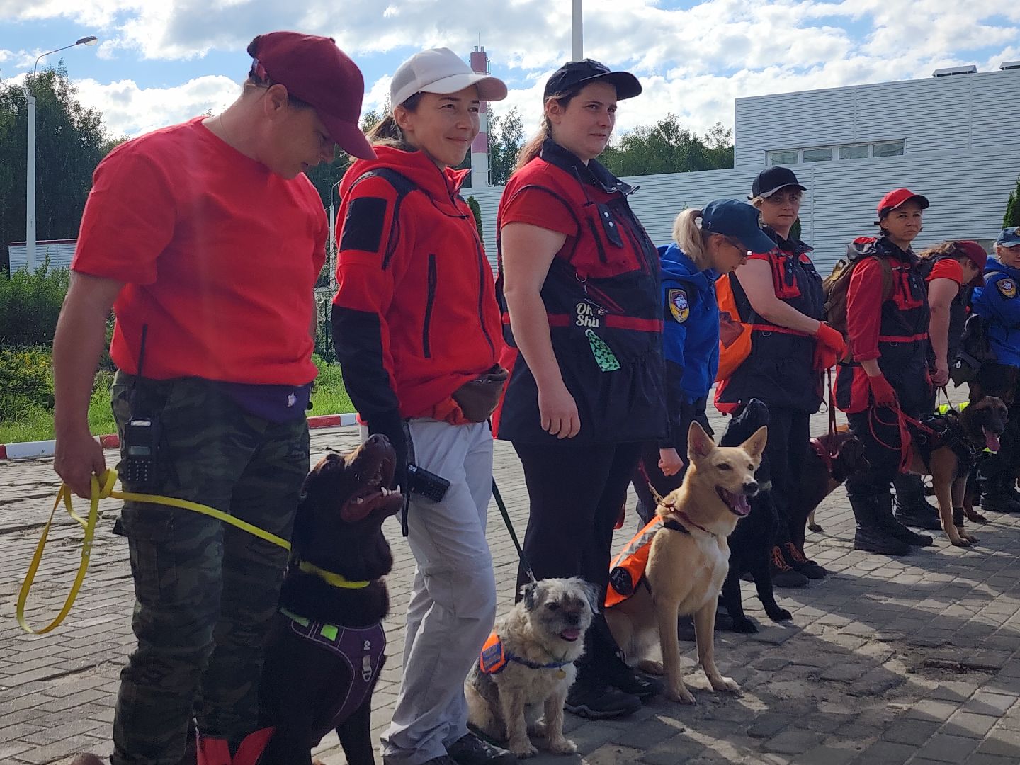 поисковые учения, Национальный центр помощи потерявшимся и пострадавшим детям, волонтеры-поисковики, Ногинск, Богородский городской округ,
