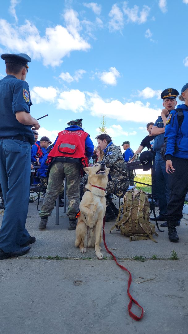 поисковые учения, Национальный центр помощи потерявшимся и пострадавшим детям, волонтеры-поисковики, Ногинск, Богородский городской округ,
