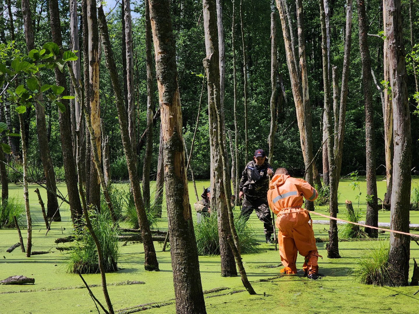 Нацинальный центр помощи пропашим и пострадавшим детям, поиск пропавших детей, волонтеры-поисковики, Ногинск, Богородский городской округ,
