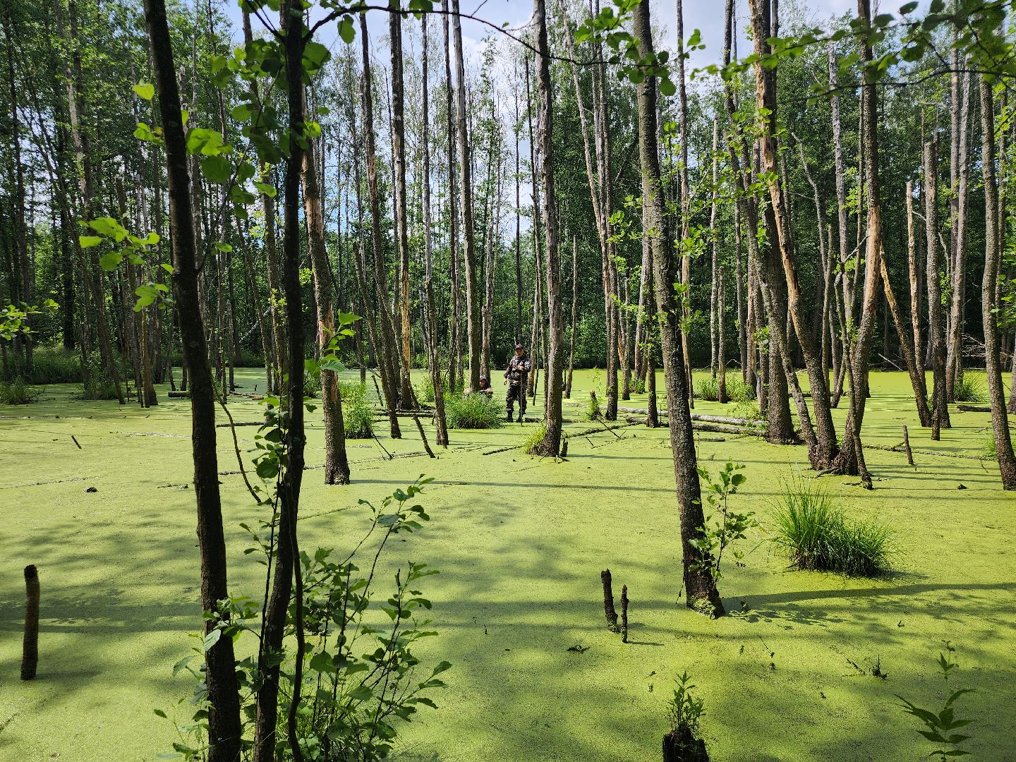Нацинальный центр помощи пропашим и пострадавшим детям, поиск пропавших детей, волонтеры-поисковики, Ногинск, Богородский городской округ,