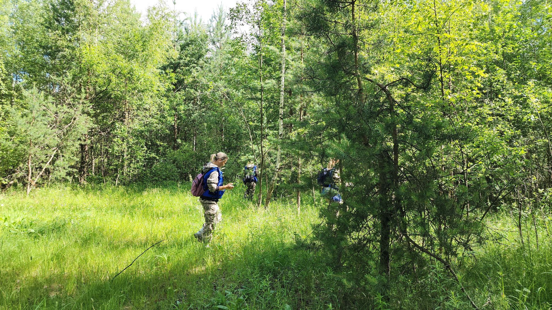 Нацинальный центр помощи пропашим и пострадавшим детям, поиск пропавших детей, волонтеры-поисковики, Ногинск, Богородский городской округ,