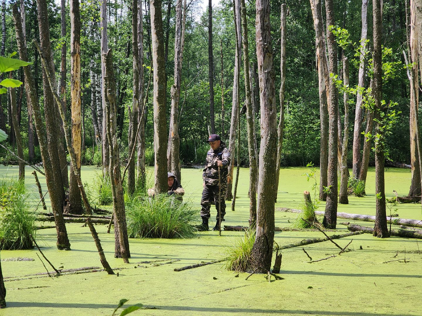 Нацинальный центр помощи пропашим и пострадавшим детям, поиск пропавших детей, волонтеры-поисковики, Ногинск, Богородский городской округ,
