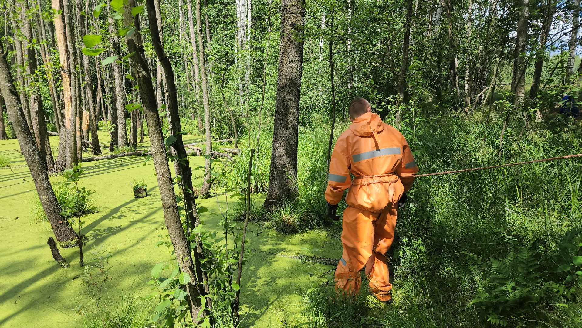 Нацинальный центр помощи пропашим и пострадавшим детям, поиск пропавших детей, волонтеры-поисковики, Ногинск, Богородский городской округ,
