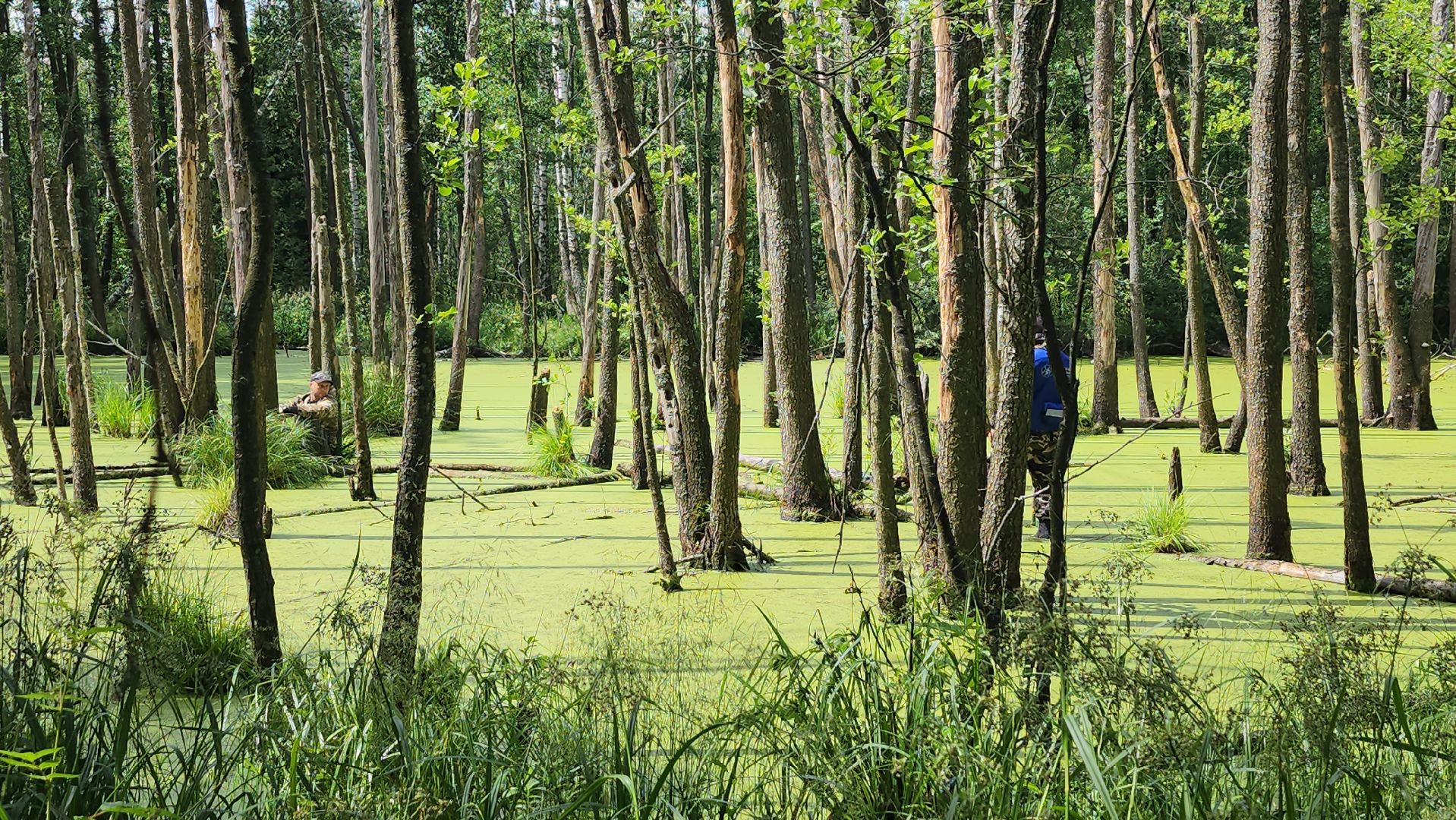 Нацинальный центр помощи пропашим и пострадавшим детям, поиск пропавших детей, волонтеры-поисковики, Ногинск, Богородский городской округ,