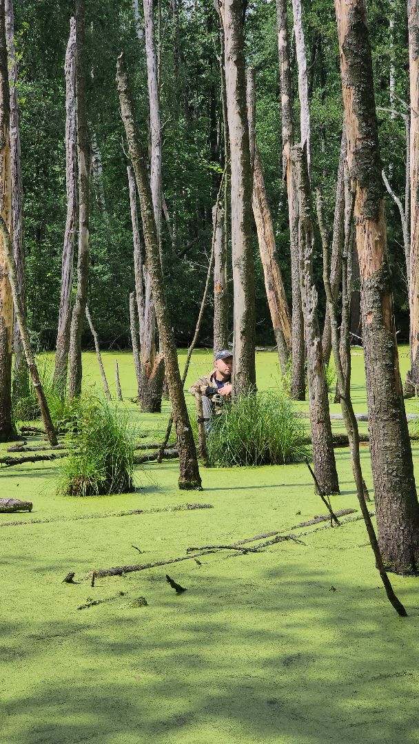 Нацинальный центр помощи пропашим и пострадавшим детям, поиск пропавших детей, волонтеры-поисковики, Ногинск, Богородский городской округ,