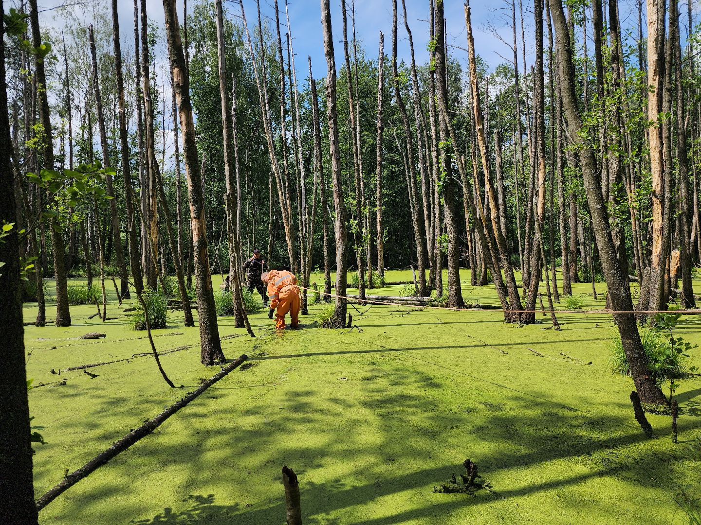 Нацинальный центр помощи пропашим и пострадавшим детям, поиск пропавших детей, волонтеры-поисковики, Ногинск, Богородский городской округ,