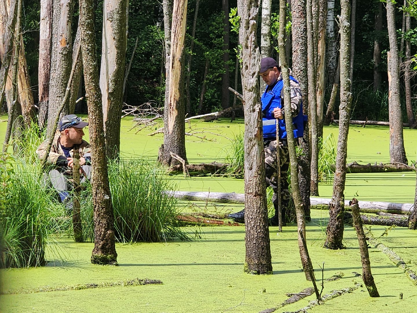 Нацинальный центр помощи пропашим и пострадавшим детям, поиск пропавших детей, волонтеры-поисковики, Ногинск, Богородский городской округ,