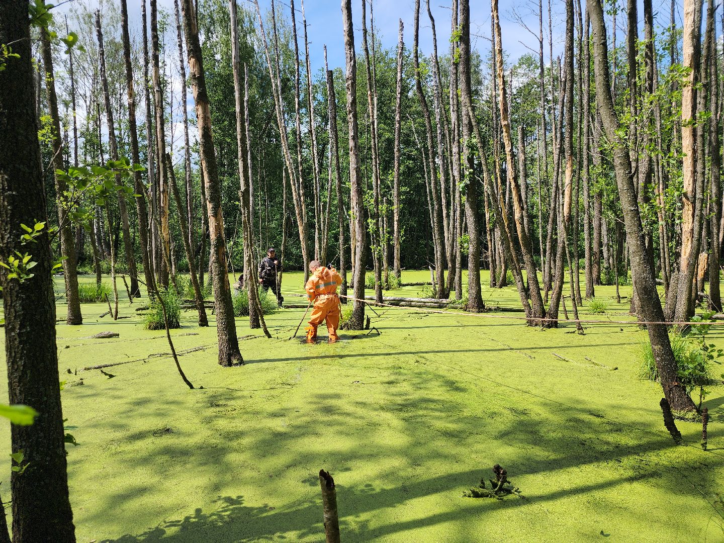 Нацинальный центр помощи пропашим и пострадавшим детям, поиск пропавших детей, волонтеры-поисковики, Ногинск, Богородский городской округ,