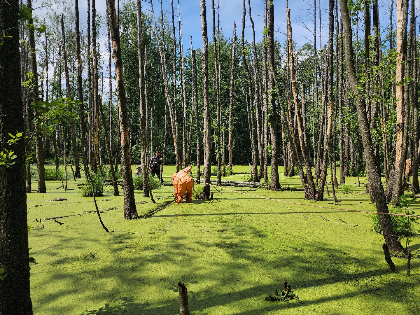 Нацинальный центр помощи пропашим и пострадавшим детям, поиск пропавших детей, волонтеры-поисковики, Ногинск, Богородский городской округ,
