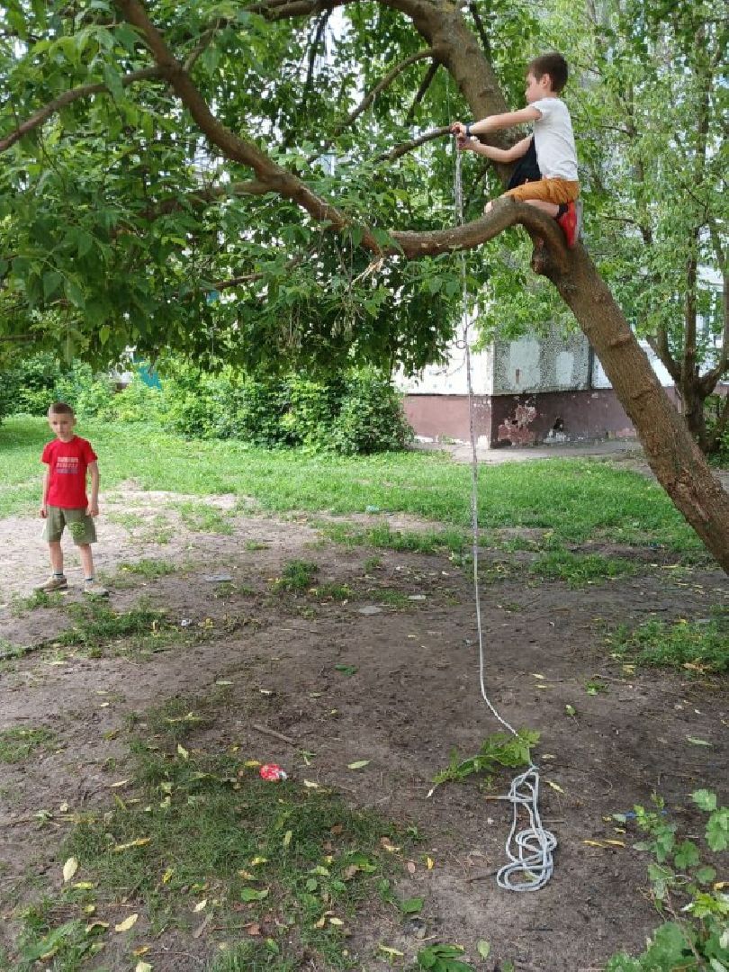 богородский городской округ, электроугли, поселок воровского, выездная администрация, власть, глава округа, общество, жители, благоустройство, озеленение,