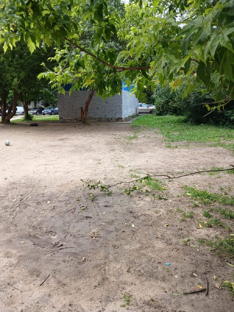 богородский городской округ, электроугли, поселок воровского, выездная администрация, власть, глава округа, общество, жители, благоустройство, озеленение,