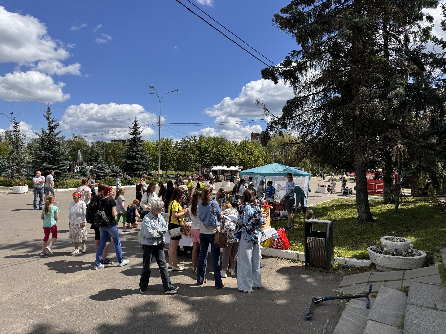 Одинцово, Приют Гав, Выставка кошек и собак,