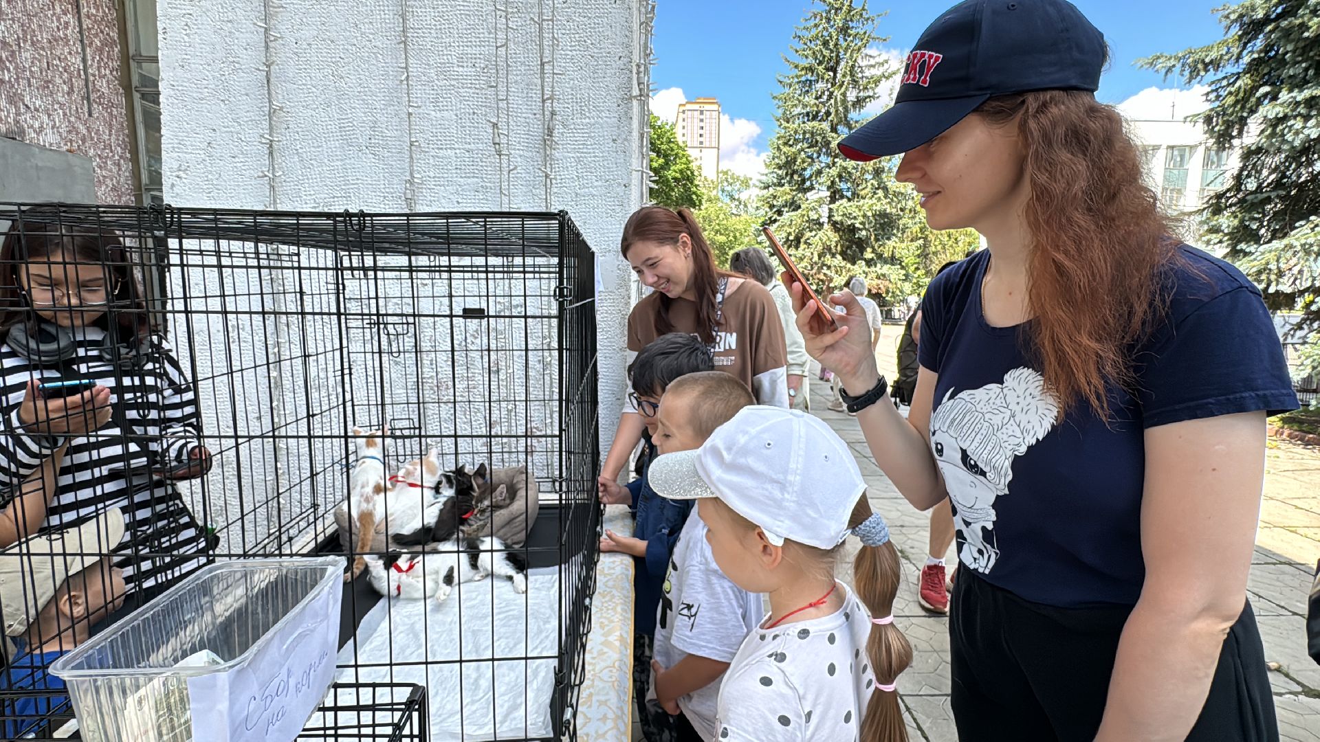 Одинцово, Приют Гав, Выставка кошек и собак,