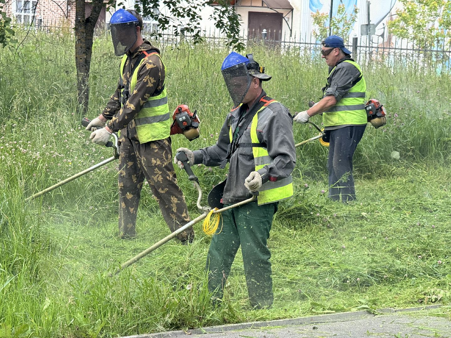 шаховская, трава, покос травы, коммунальная служба,