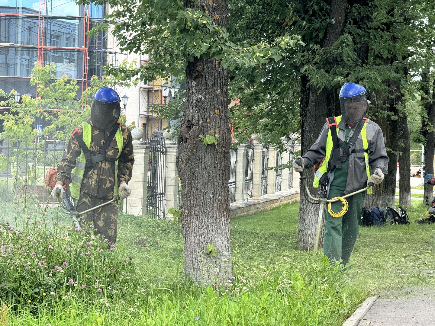 шаховская, трава, покос травы, коммунальная служба,