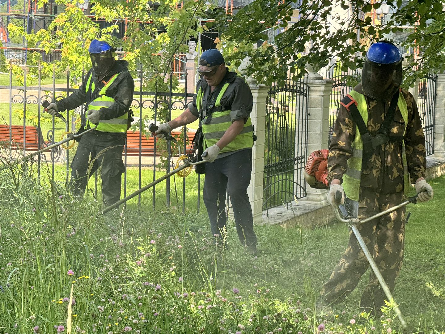шаховская, трава, покос травы, коммунальная служба,