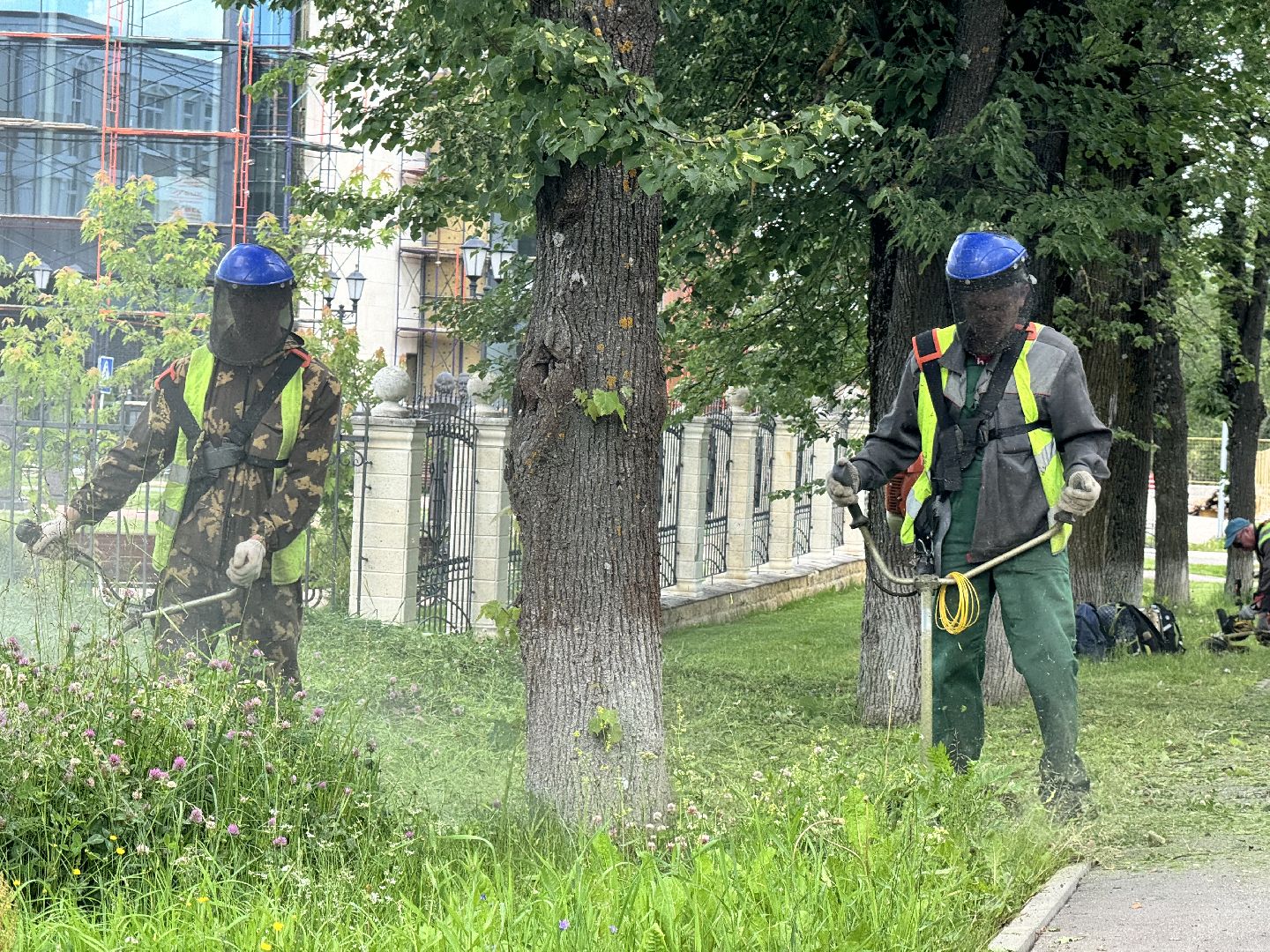 шаховская, трава, покос травы, коммунальная служба,