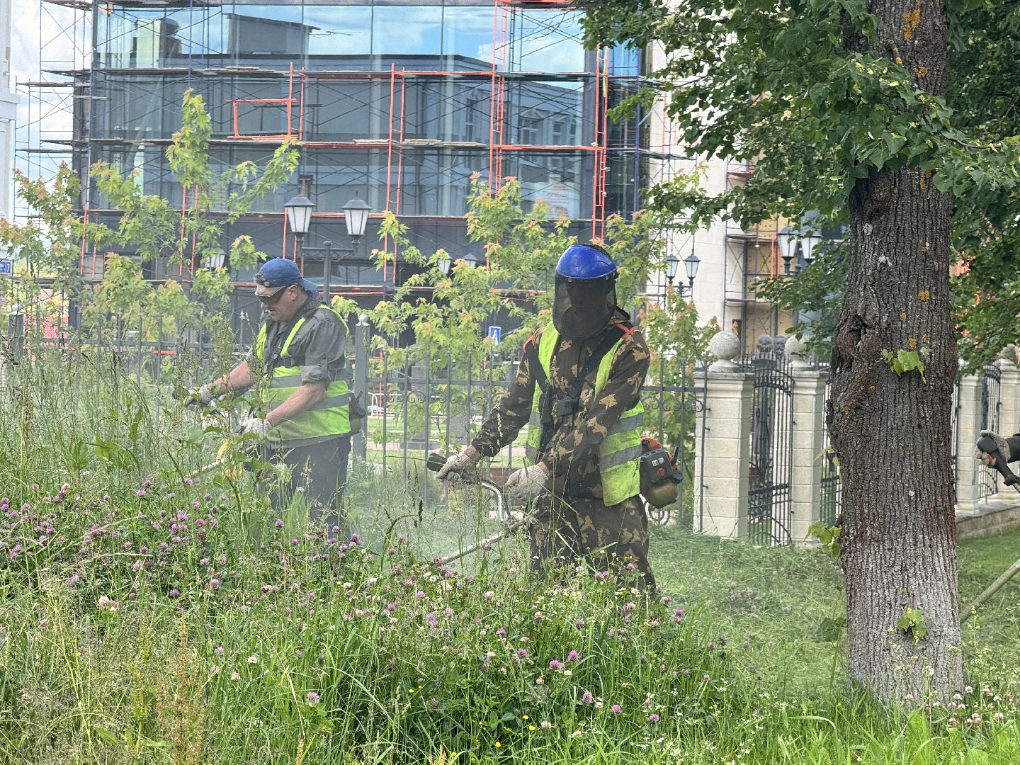 шаховская, трава, покос травы, коммунальная служба,