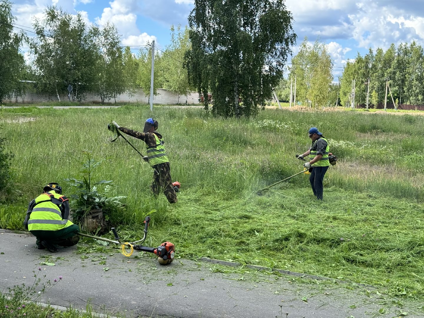шаховская, трава, покос травы, коммунальная служба,