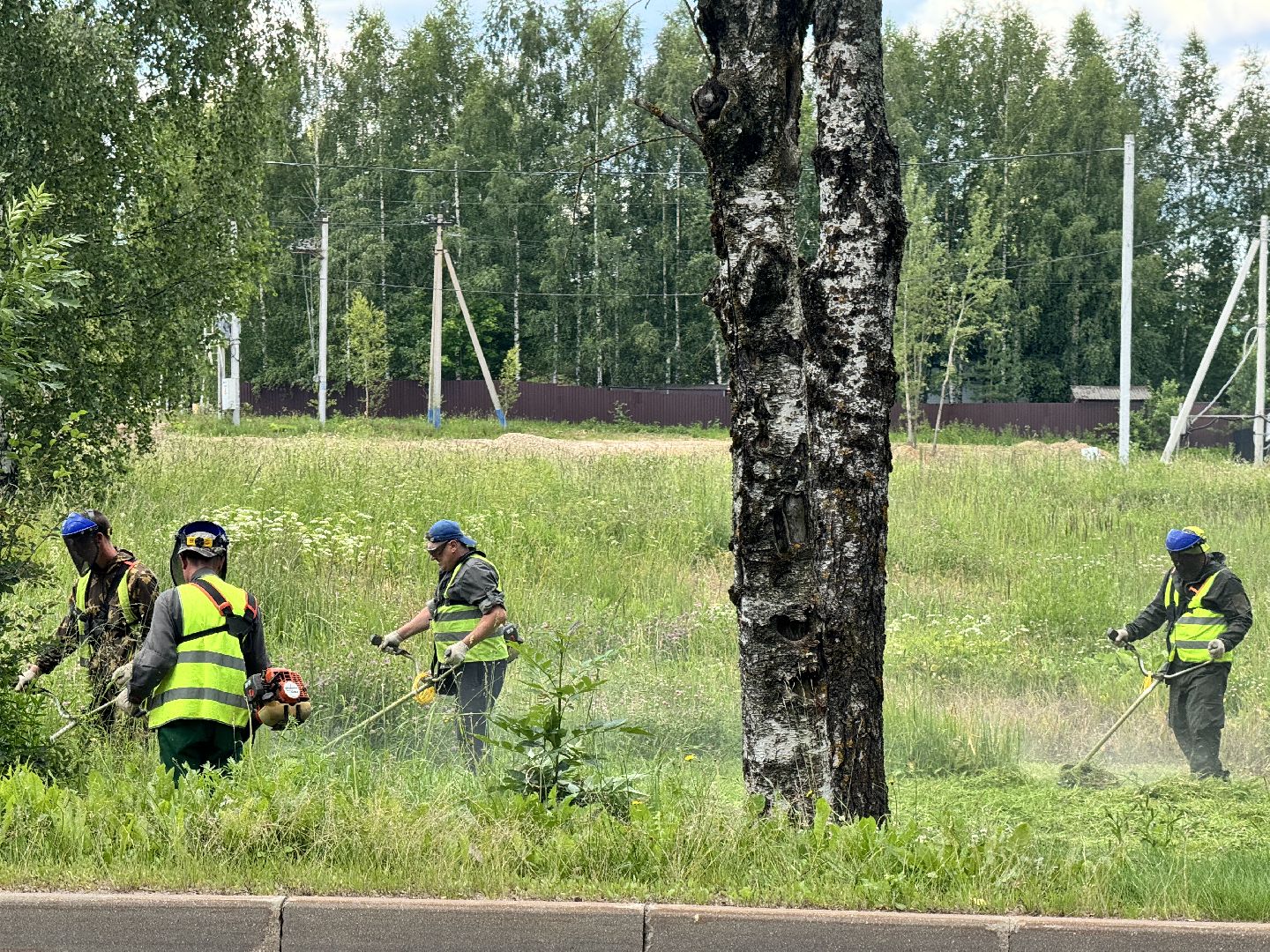 шаховская, трава, покос травы, коммунальная служба,