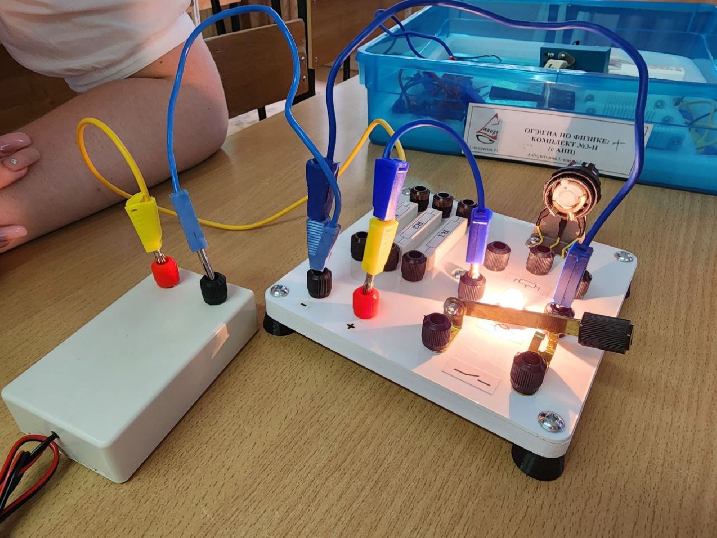 чехов, образование, егэ, физика, 100 баллов по егэ,