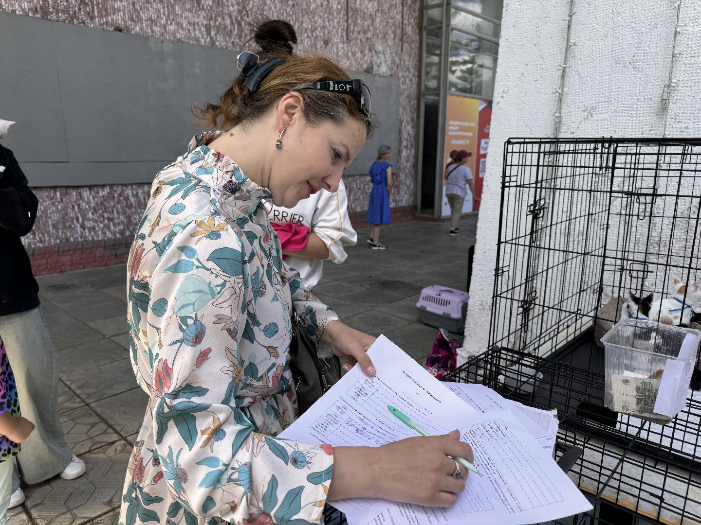 Одинцово, Выставка кошек и собак из приютов, Питомцы в добрые руки, Братья наши меньшие,