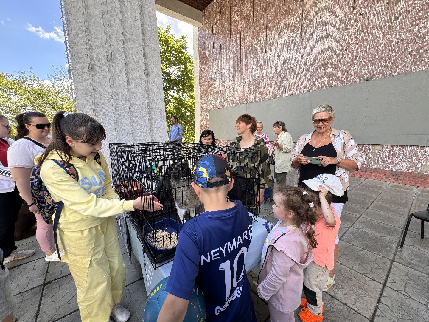 Одинцово, Выставка кошек и собак из приютов, Питомцы в добрые руки, Братья наши меньшие,