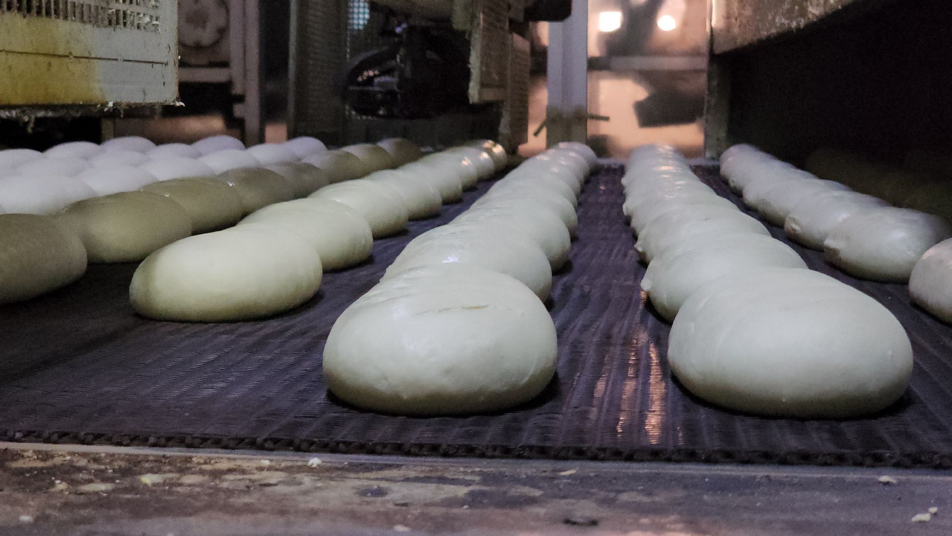 Хлебзавод, Руза, Рузский хлебзавод, модернизация производства, рузский городской округ, экономика, экономика округа,