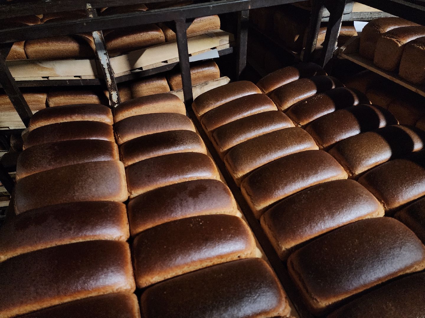 Хлебзавод, Руза, Рузский хлебзавод, модернизация производства, рузский городской округ, экономика, экономика округа,