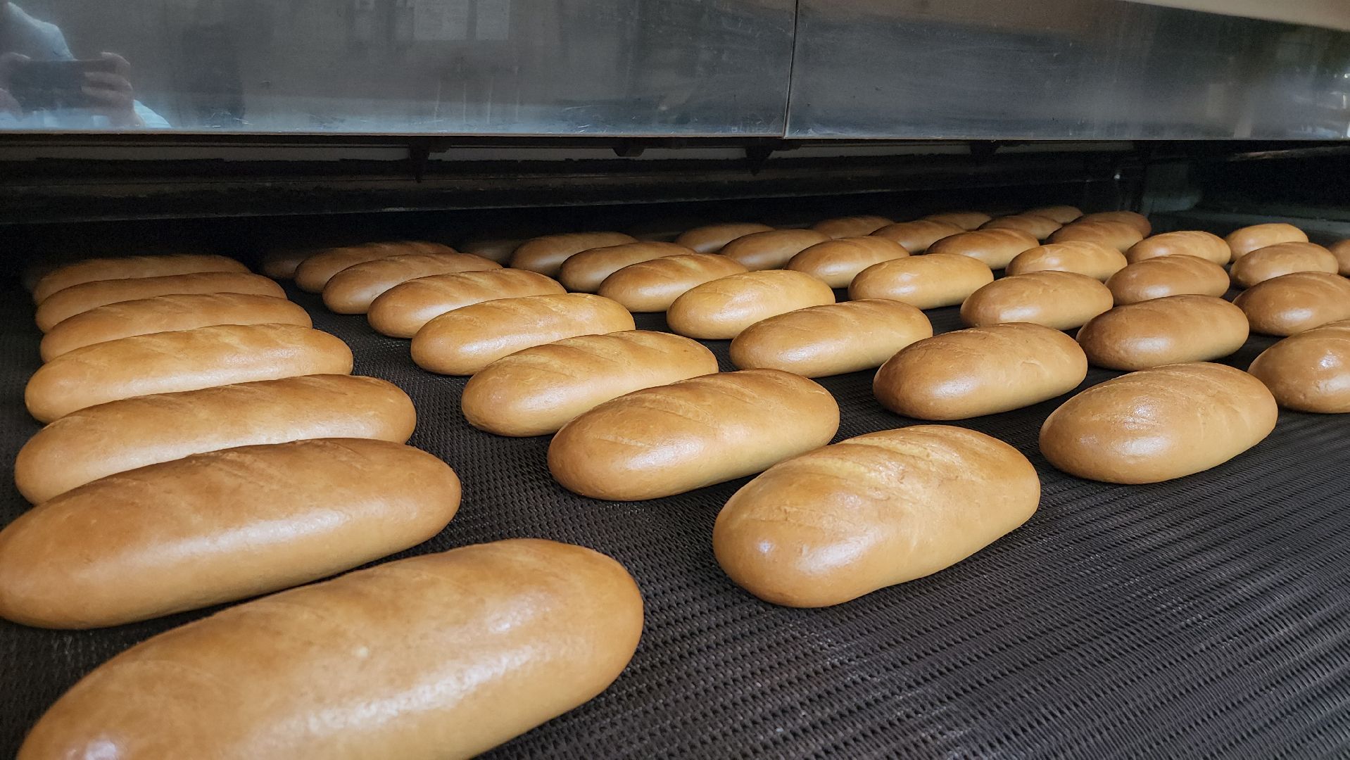 Хлебзавод, Руза, Рузский хлебзавод, модернизация производства, рузский городской округ, экономика, экономика округа,