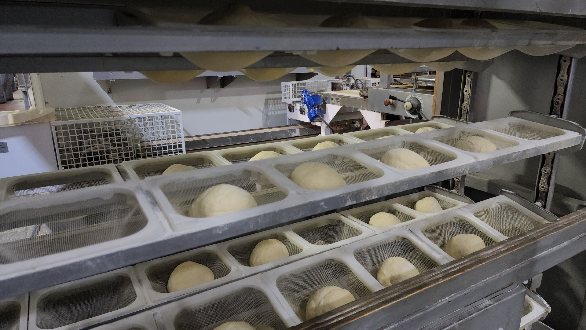 Хлебзавод, Руза, Рузский хлебзавод, модернизация производства, рузский городской округ, экономика, экономика округа,