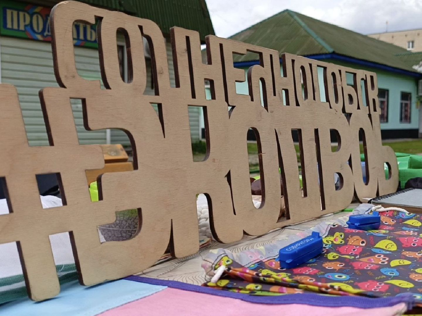 Солнечногорск, экологическая акция, экодвор, Дармарка, Выставки,