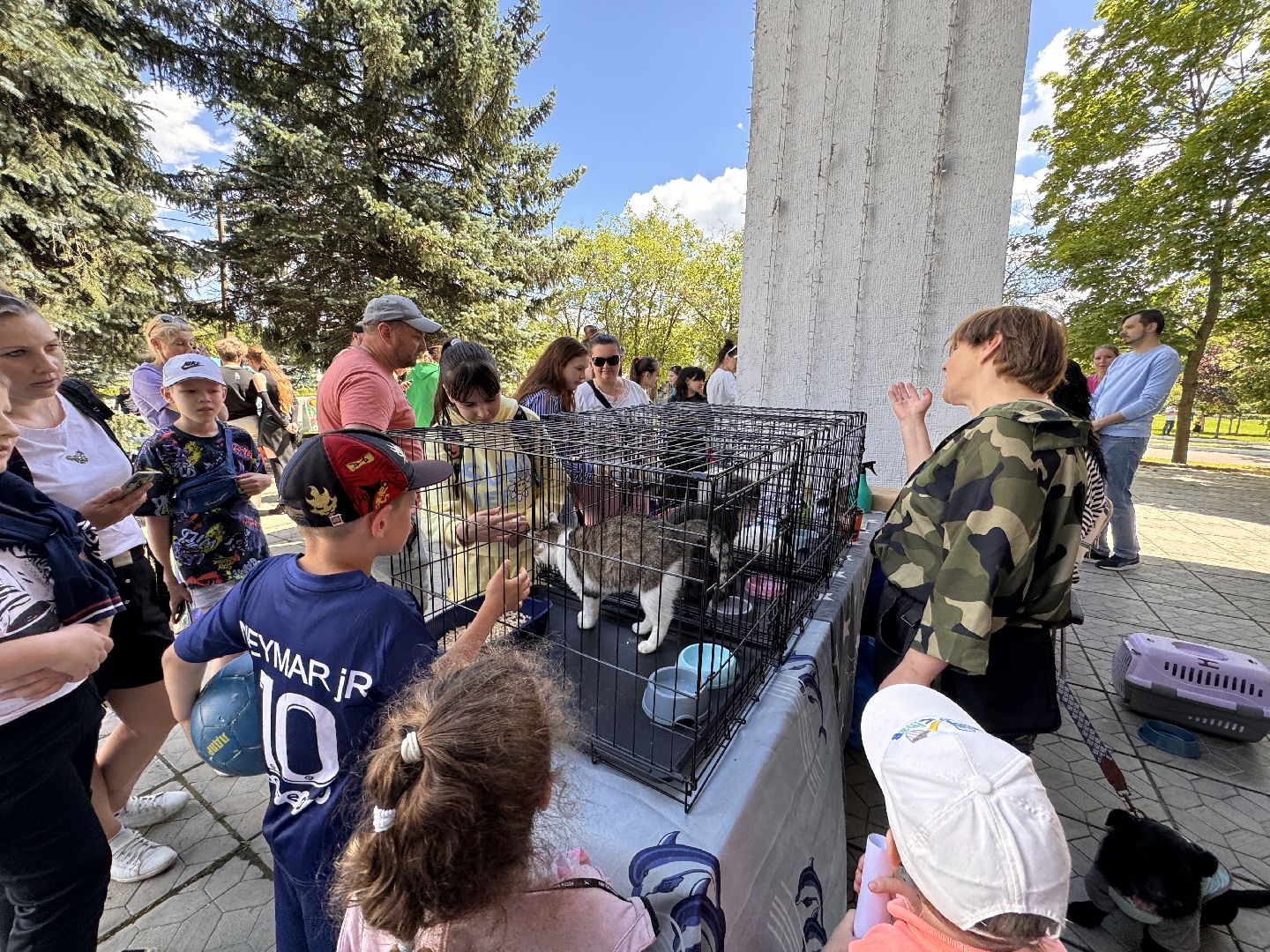 выставка кошек и собак из приютов, Одинцово, Наро-Фоминск, Калининец,