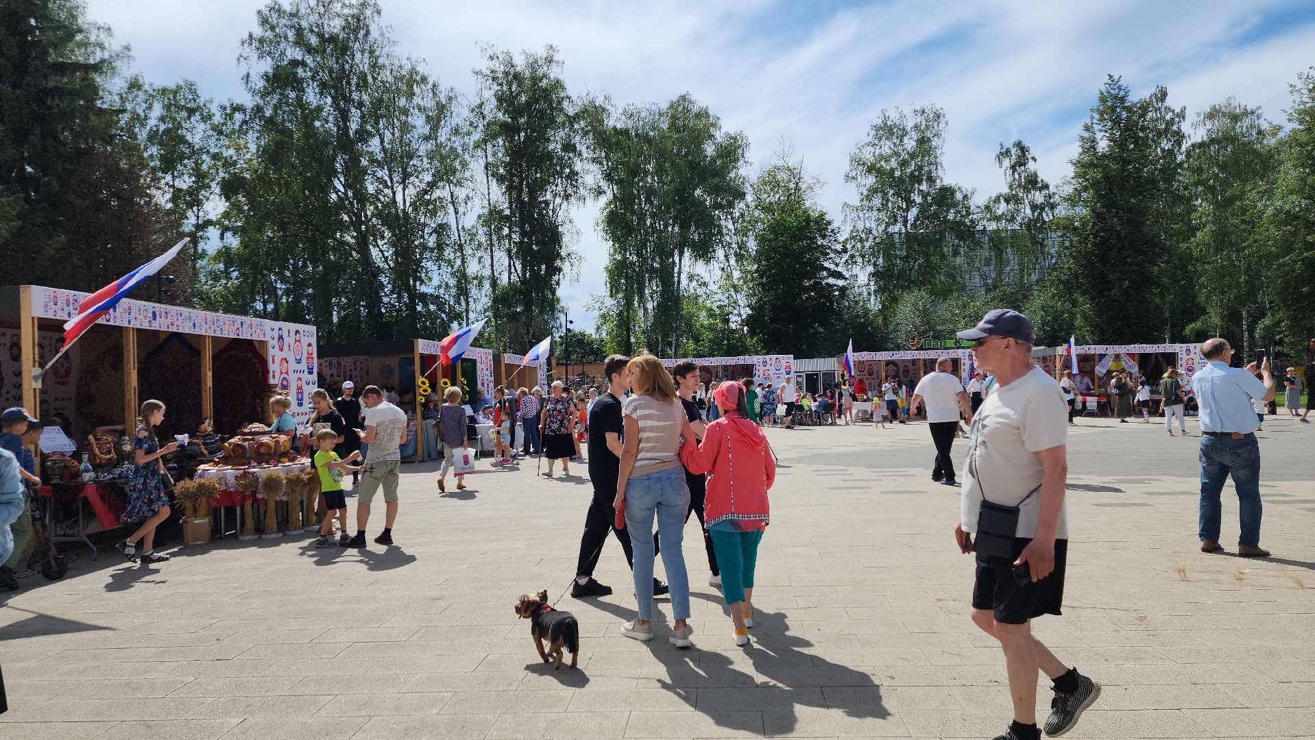 пушкино, национальности, национальные проекты, концерт, мастер классы, народы россии, праздник,