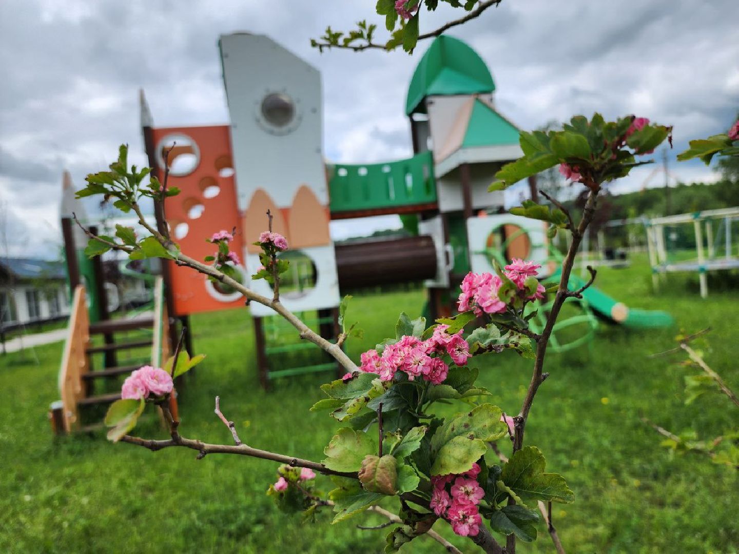 можайск, можайский городской округ, туризм, агротуризм, ранчорф, отдых в подмосковье, лето в подмосковье,