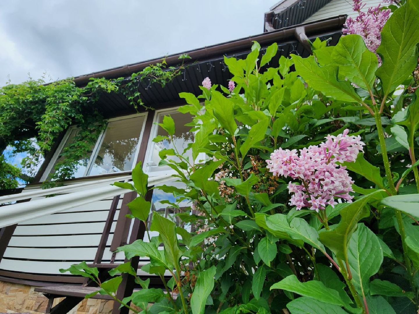 можайск, можайский городской округ, туризм, агротуризм, ранчорф, отдых в подмосковье, лето в подмосковье,