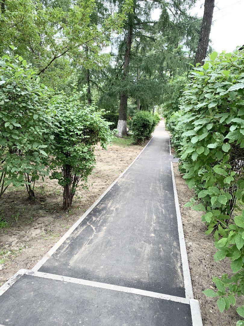 Балашиха, Подмосковье, Дороги, Благоустройство дворов,