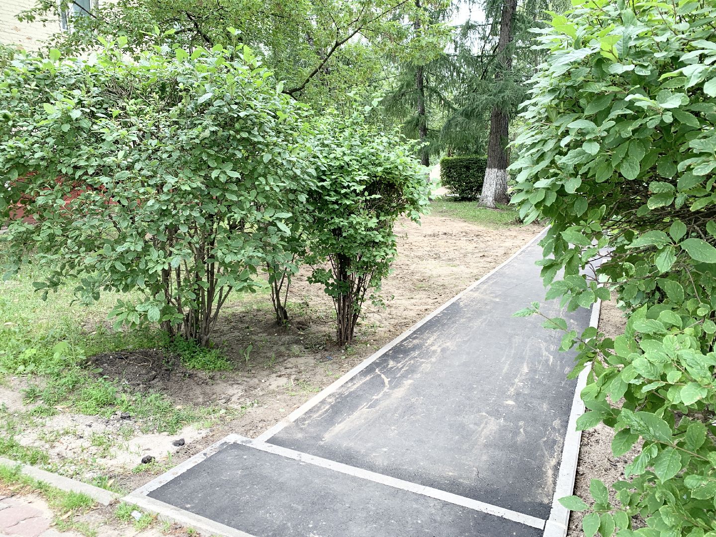 Балашиха, Подмосковье, Дороги, Благоустройство дворов,