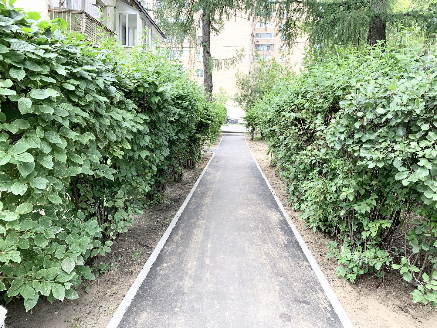 Балашиха, Подмосковье, Дороги, Благоустройство дворов,