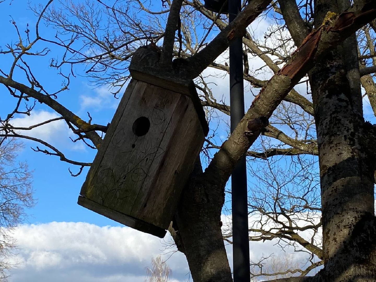 Павловский Посад, городской округ Павловский Посад, перемены, благоустройство, парки, книги, качели, отдых