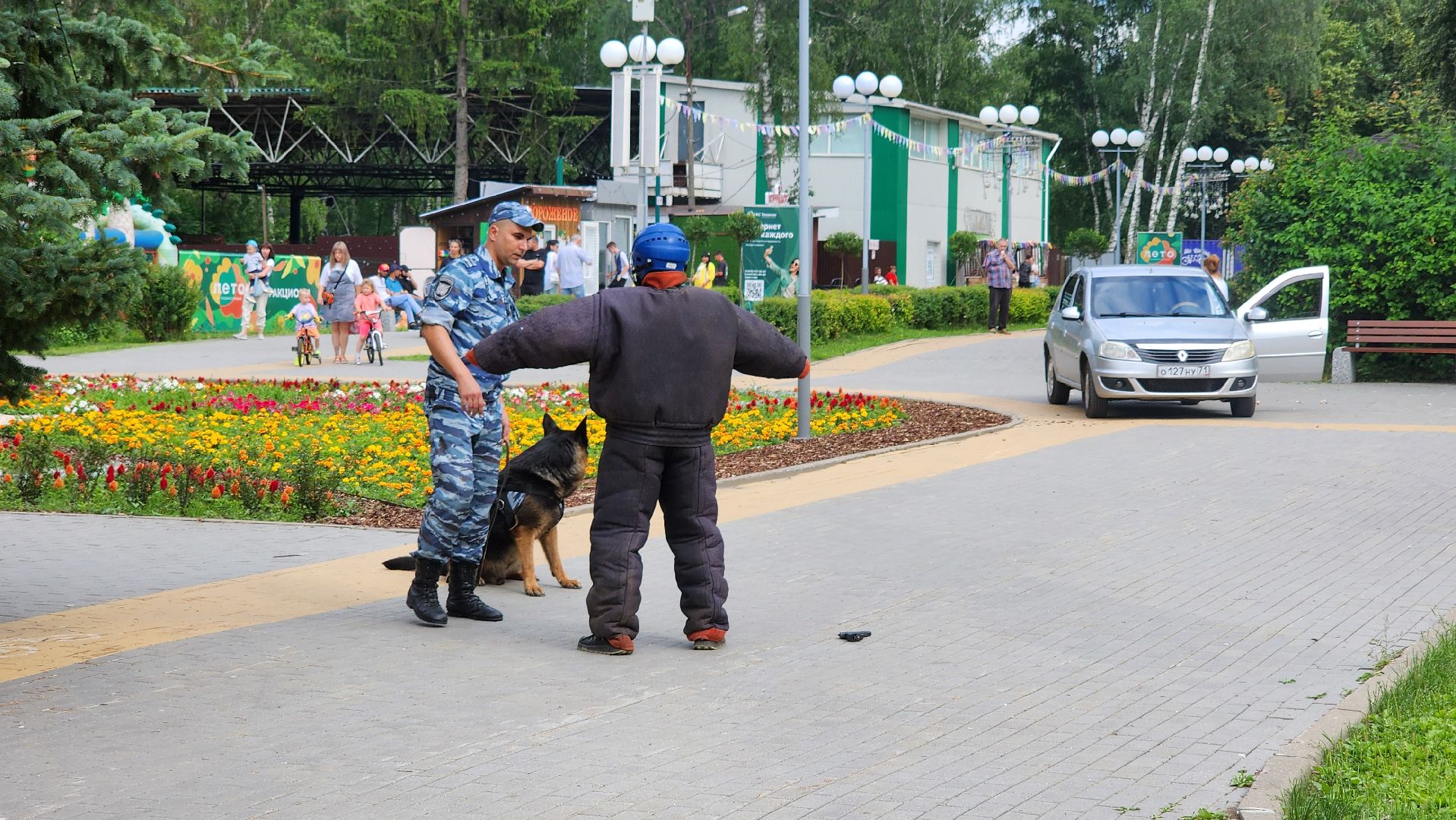 кашира, городской парк, кинолог, кинологическая служба, ко мне мухтар, ветеринар, приют для собак, собаки, дог-шоу,