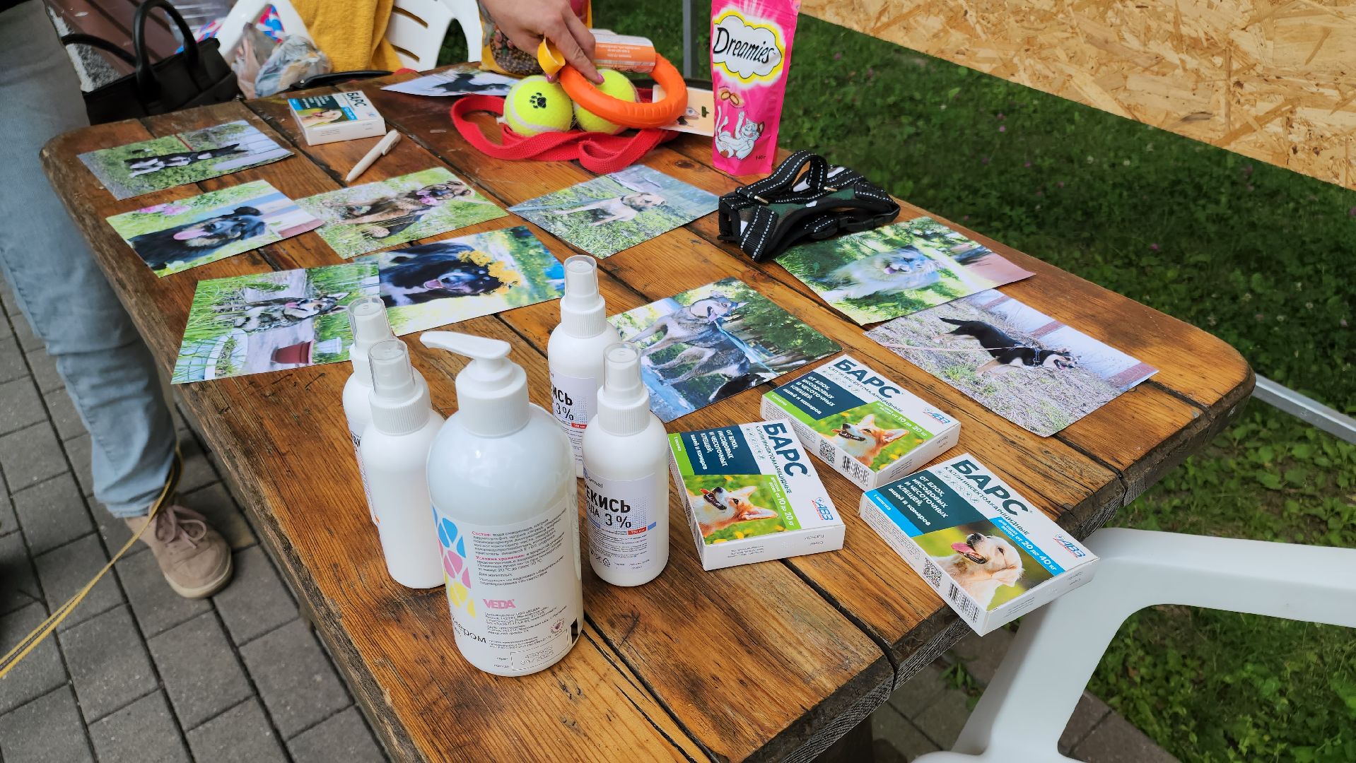 кашира, городской парк, кинолог, кинологическая служба, ко мне мухтар, ветеринар, приют для собак, собаки, дог-шоу,