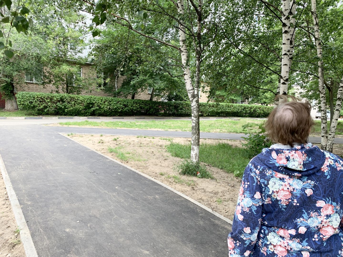 Балашиха, Подмосковье, Народные тропы, пешеходные коммуникации,