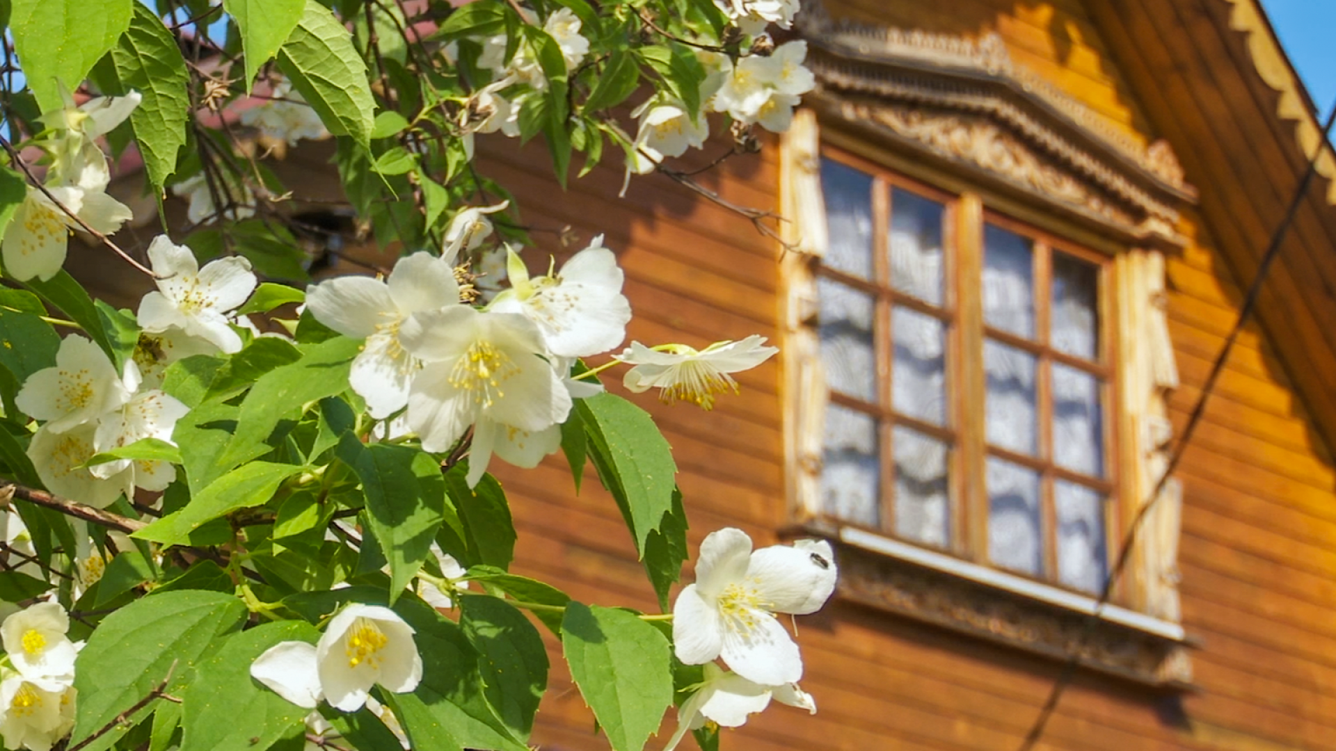 Клин, общество, ЖКХ, водопровод,